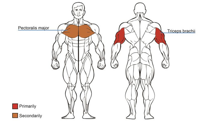 Tricep Press Machine  For Sale
